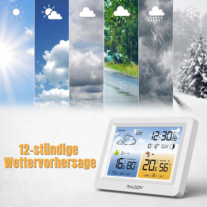 Funk-Wetterstation WM6
