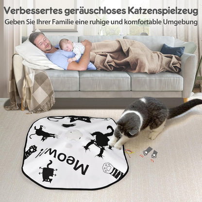 Interaktives 4-in-1 Katzenspielzeug, Schwarzer Miau