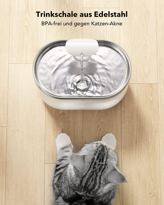 Katzenbrunnen Capsule