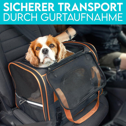 Hunde- & Katzentasche, L 46 x B 35 x H 37 cm Anthrazit