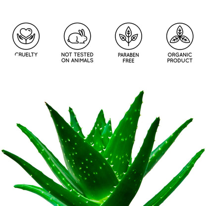 Natürliches Aloe Vera Gel, Aloe Vera / 1 l (1er Pack)