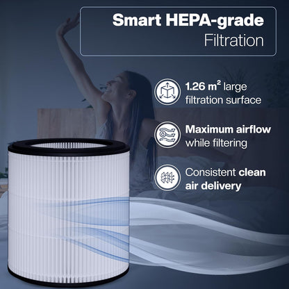 Filter-Set für Philips Luftreiniger AC0820/AC0819, FY0194