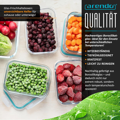 Glas-Lunchboxen Set