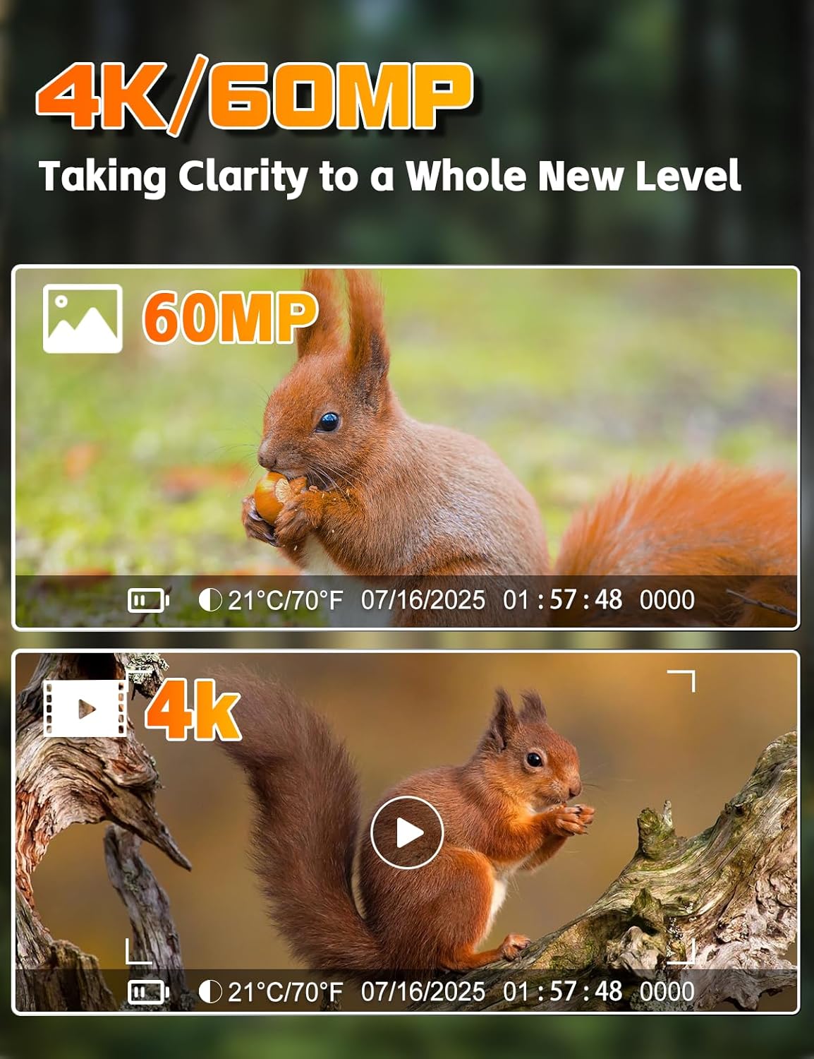 4K Wildtierkamera mit Bewegungsmelder und Nachtsicht