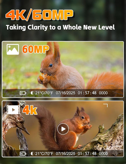 4K Wildtierkamera mit Bewegungsmelder und Nachtsicht