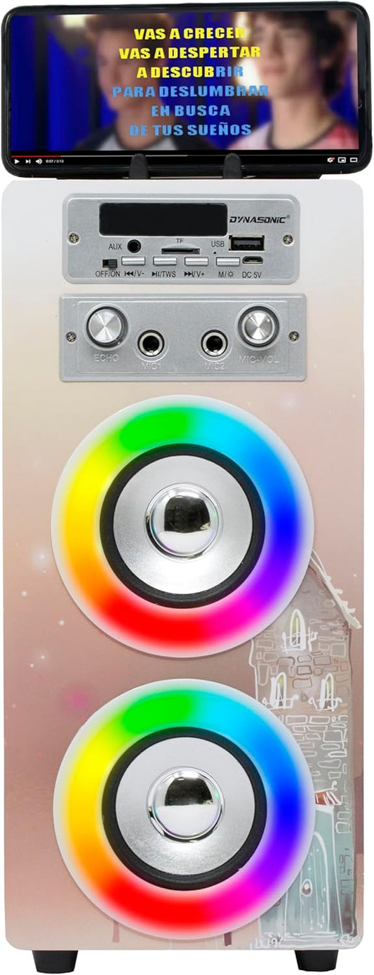Tragbare Karaoke-Maschine mit 2 Mikrofonen