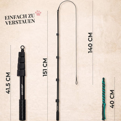 Reizangel-Set für Hunde, Reizangel 151cm + Seile 140cm Schwarz