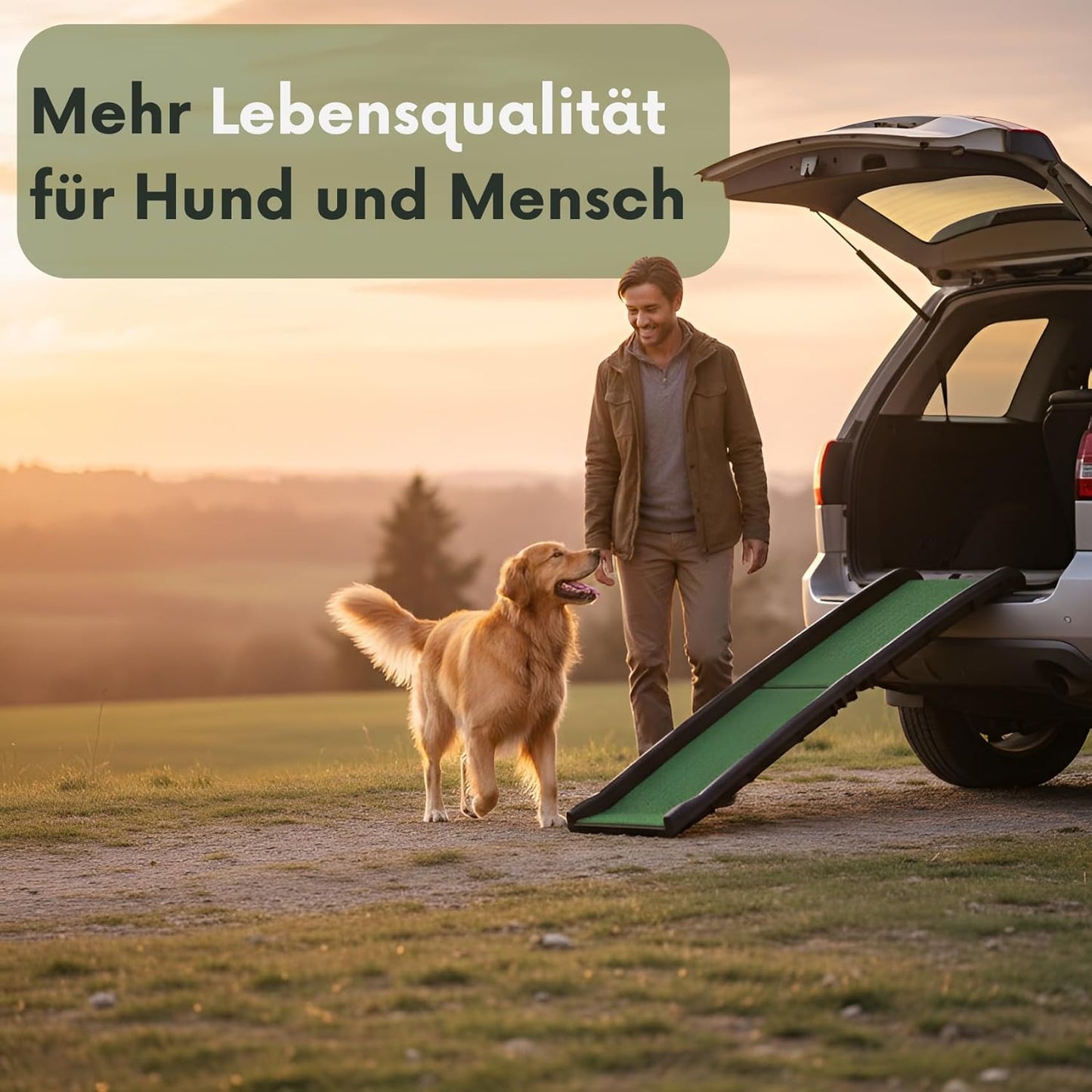 Klappbare Hunderampe mit Kunstrasen