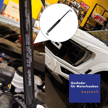 Gasdruckfeder für Türen & Kofferraum (700N, 500mm), 700 Newton 500 mm