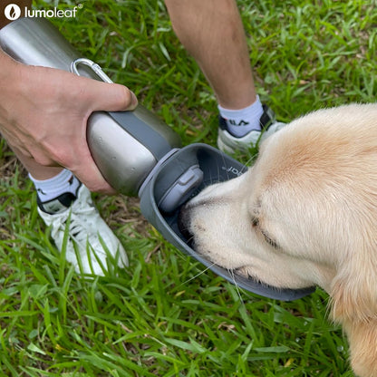 Hundetrinkflasche für Reisen, 800ml, Grau
