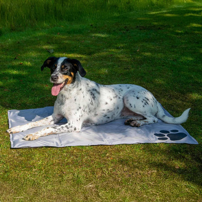 Selbstkühlende Hundematte mit Pfotenmuster, Grau