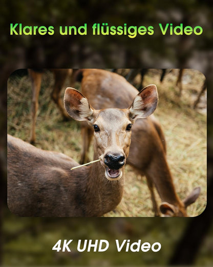 Wildkamera mit WLAN, 4K, Nachtsicht, IP67, 130° Winkel