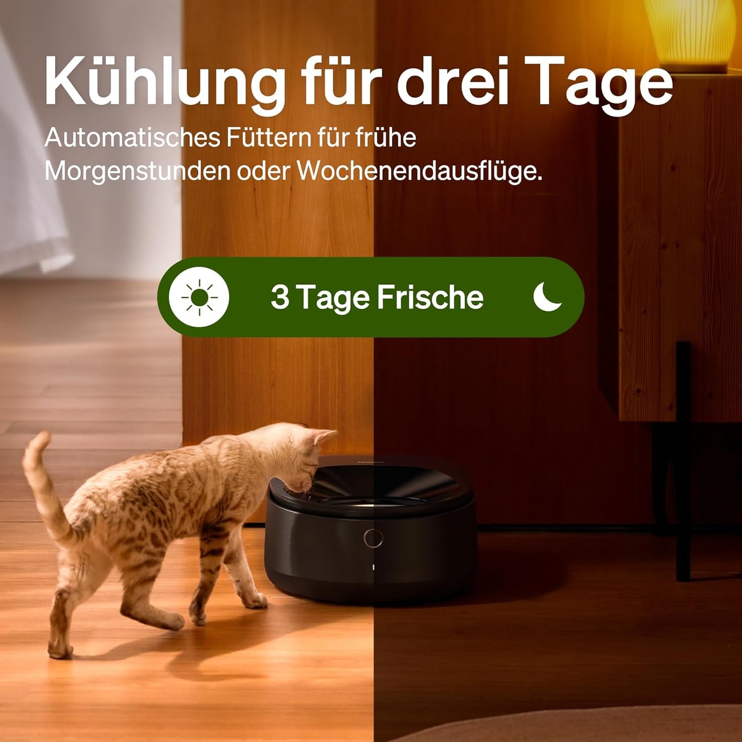 Futterautomat für Katzen mit App-Steuerung, Schwarz