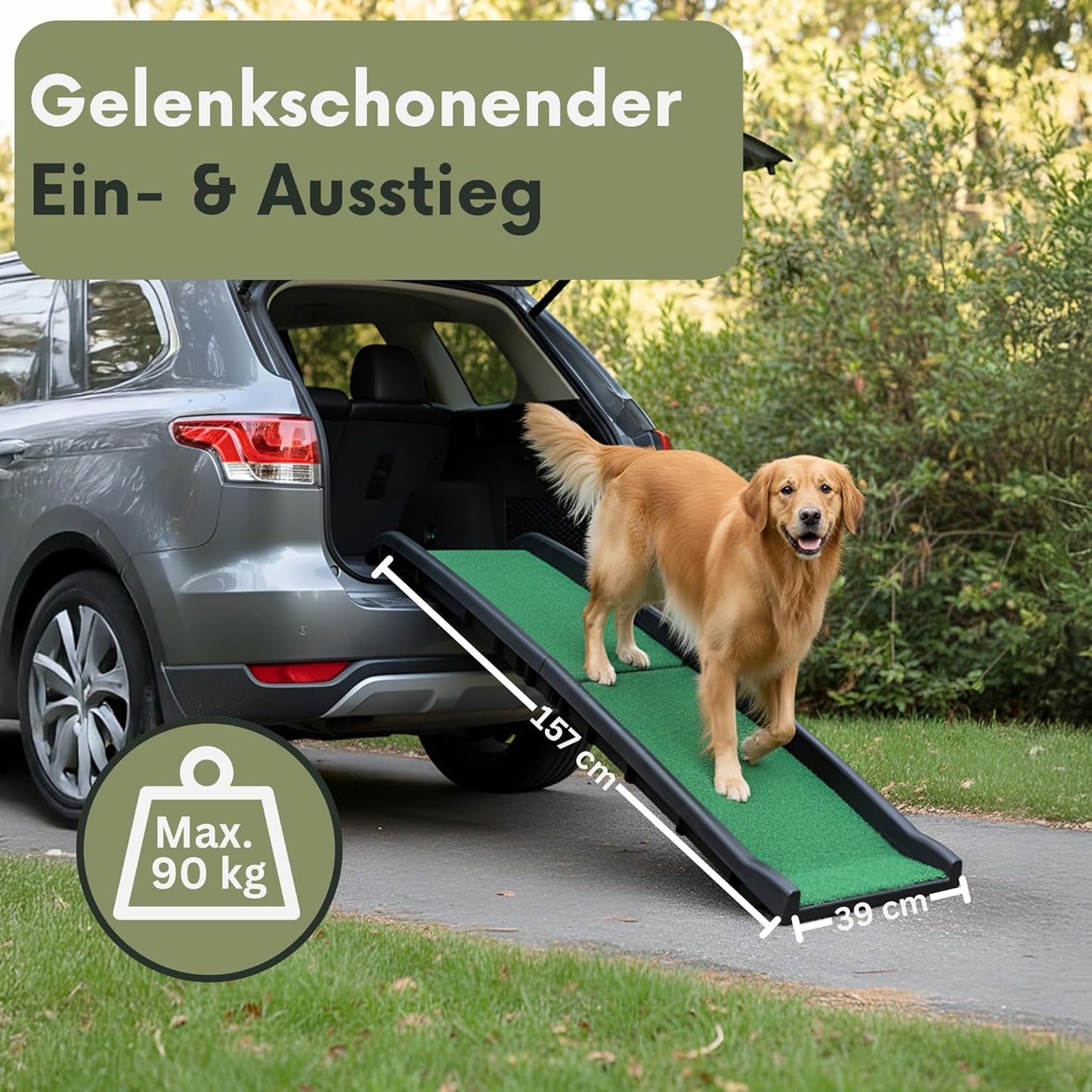 Klappbare Hunderampe mit Kunstrasen