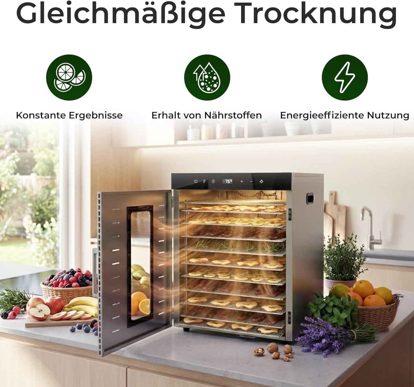 Dörrautomat mit Timer und Temperaturregler, Dörrautomat 1000