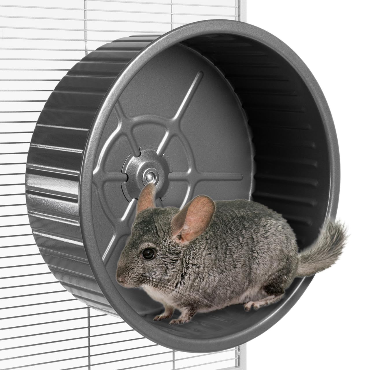 Laufrad für Degus und Chinchillas