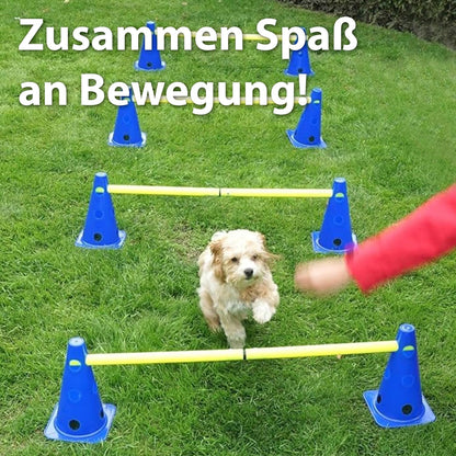 Steckhürdenset mit Hürden und Kegeln, 6 Steckhürden mit 3 Stangen