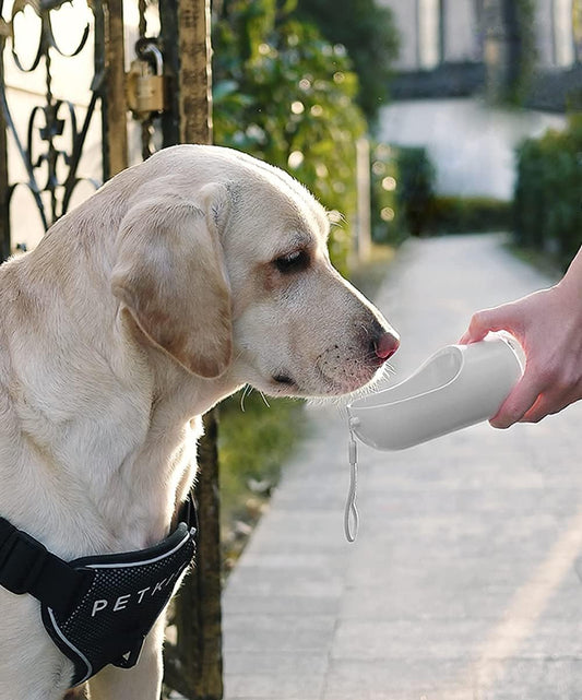 Eversweet Trinkflasche für Hunde, 400 ml, Aktivkohlefilter, Weiss
