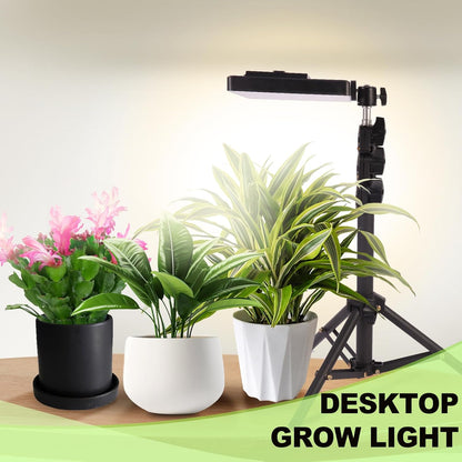 LED Pflanzenlampe mit Ständer und Timer (Vollspektrum), Vollspektrum