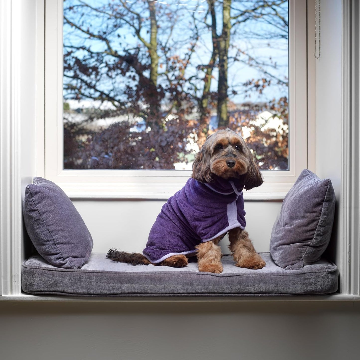 Hundebademantel Ultra-absorbierend & Weich, XXXL Aubergine