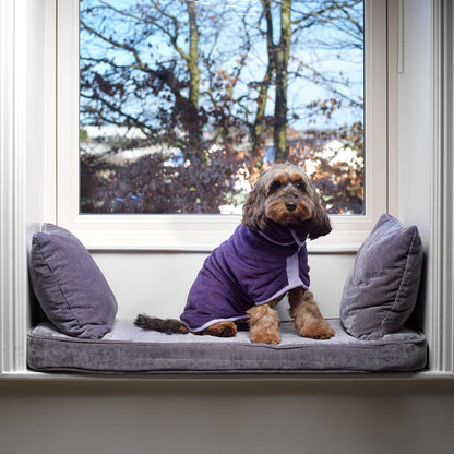 Hundebademantel Ultra-absorbierend & Weich, XXXL Aubergine