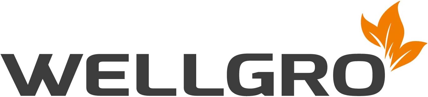 Domino Holzbausteine-Set (300 Stück), 300 St&#xFC;ck