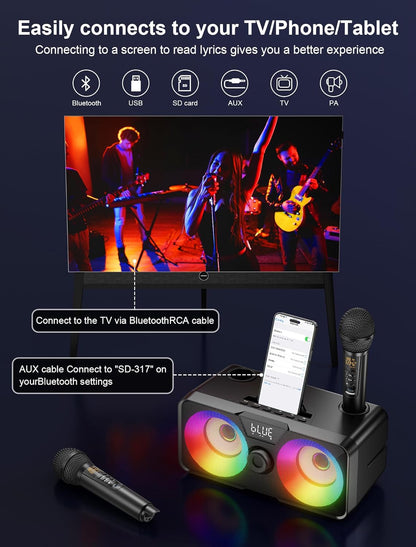 Karaoke-Maschine K317