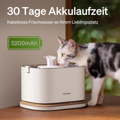Upgrade Katzenbrunnen mit App-Überwachung, Weiss 3L