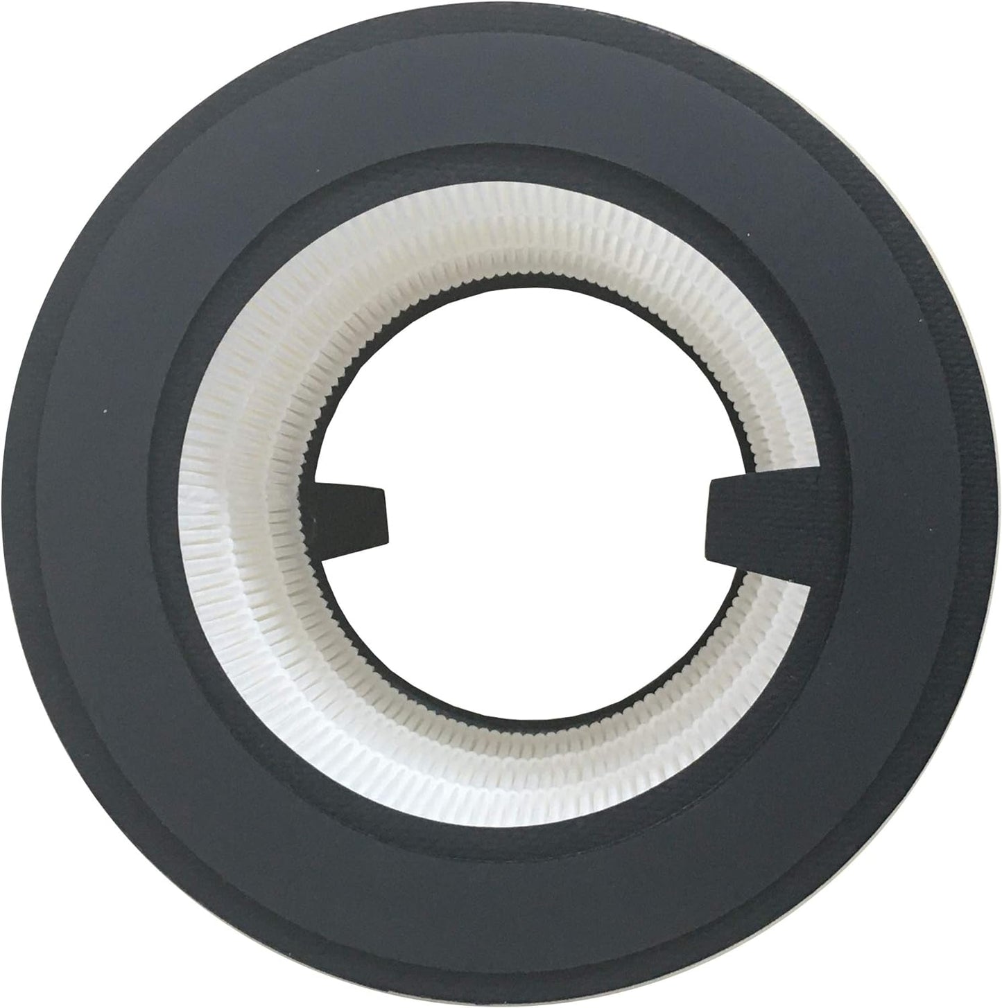HEPA-Filter PT94555, Ersatzfilter für 800 1 Stück
