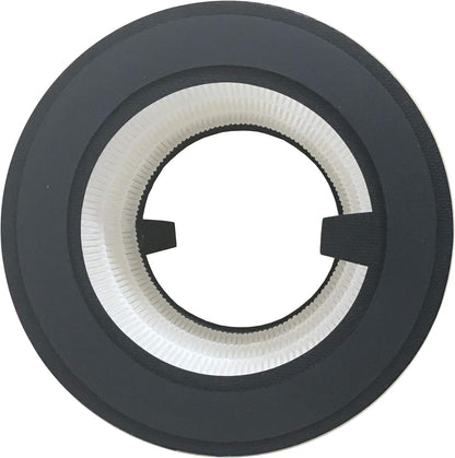 HEPA-Filter PT94555, Ersatzfilter für 800 1 Stück