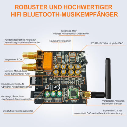 HiFi Bluetooth Musikempfänger DS200Pro mit LDAC und aptX HD, Blau