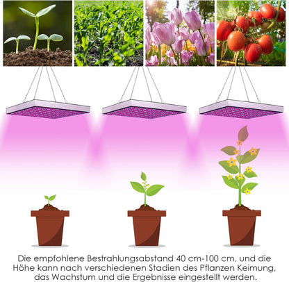 LED Grow Lampe, 2x, 15W