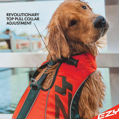 Schwimmweste für Hunde DFD X2 Boost, Rosa 3XS