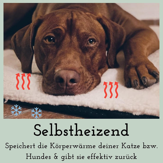 Selbstheizende Katzendecke, L 60 x B 40 x H 3 cm Beige