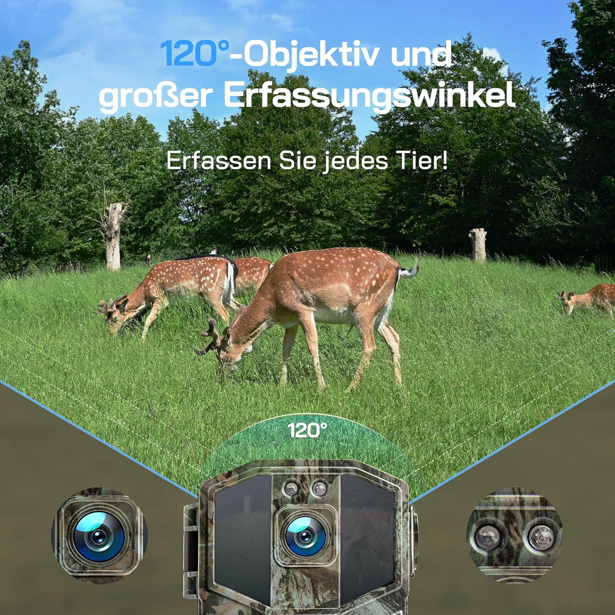 Wildkamera 4K mit Nachtsicht und Bewegungssensor