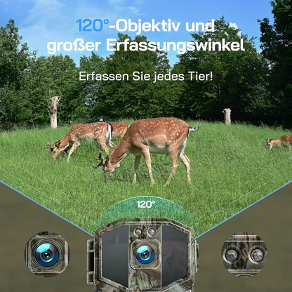 Wildkamera 4K mit Nachtsicht und Bewegungssensor