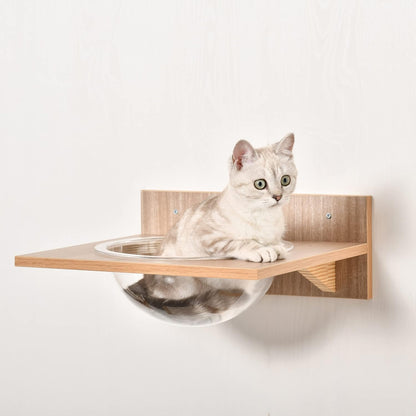 Katzenkletterwand-Set