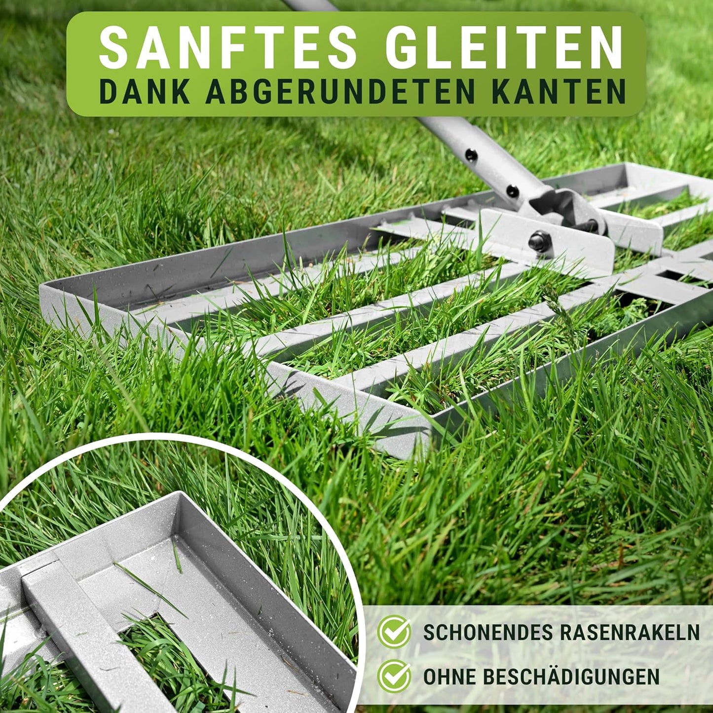 Rasen Rakel, Silber