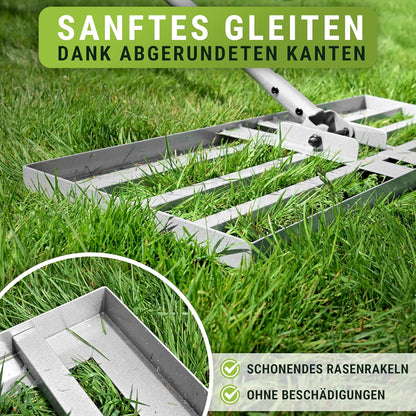 Rasen Rakel, Silber