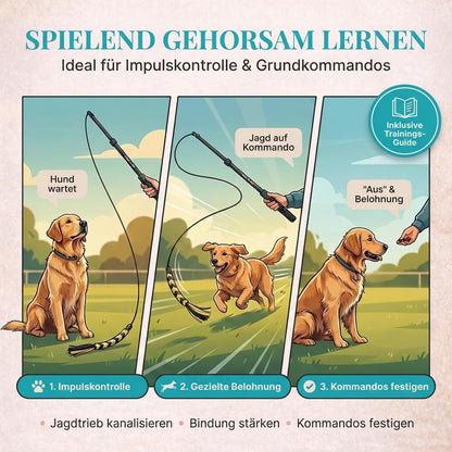 Reizangel-Set für Hunde, Reizangel 151cm + Seile 140cm Schwarz
