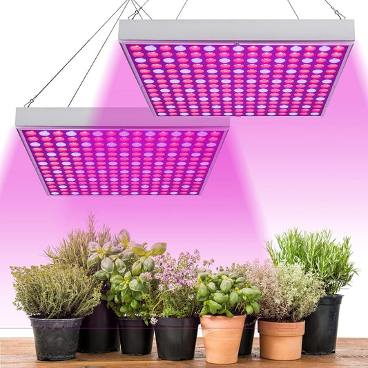 Pflanzenlicht
