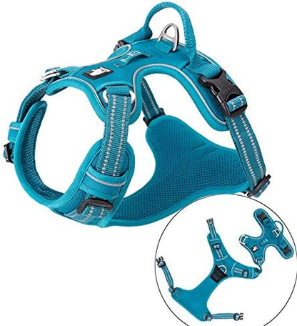 Truelove No Pull Hundegeschirr, S, Blue