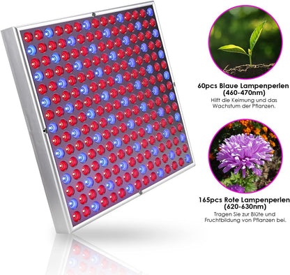 LED Grow Lampe, 2x, 15W