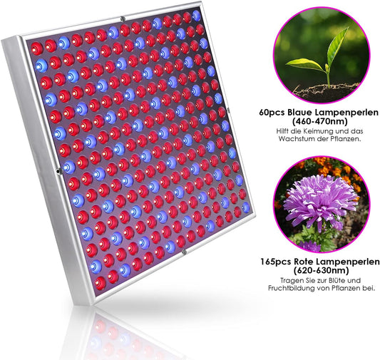 LED Grow Lampe, 2x, 15W