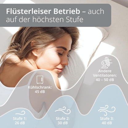 USB-Tischventilator mit Akku, Anthrazit