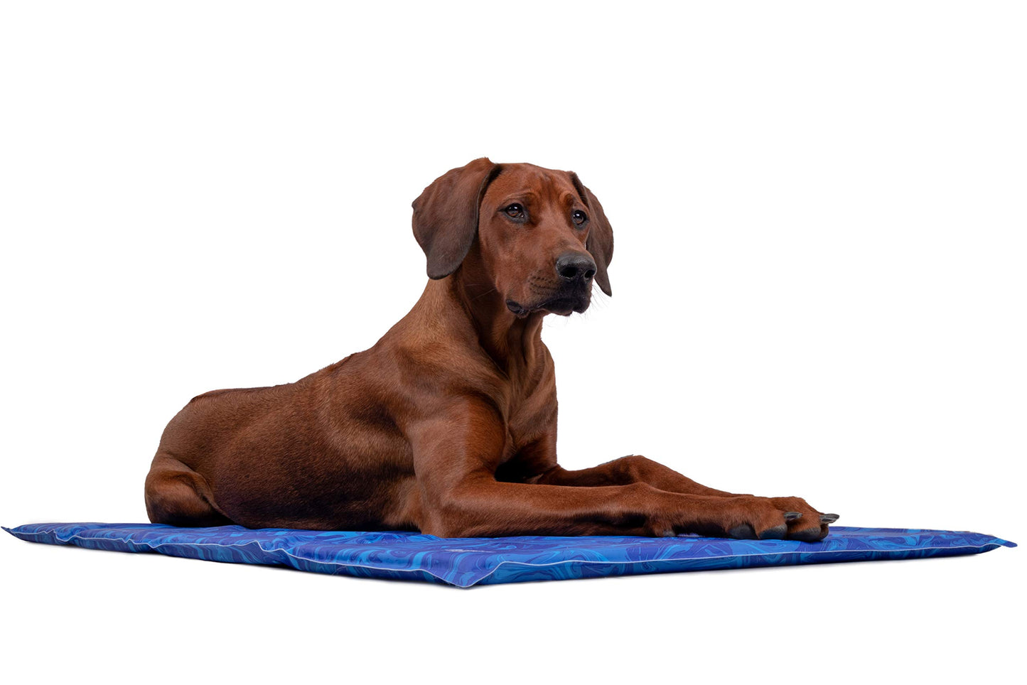 Kühlmatte für Hunde, 110x70cm