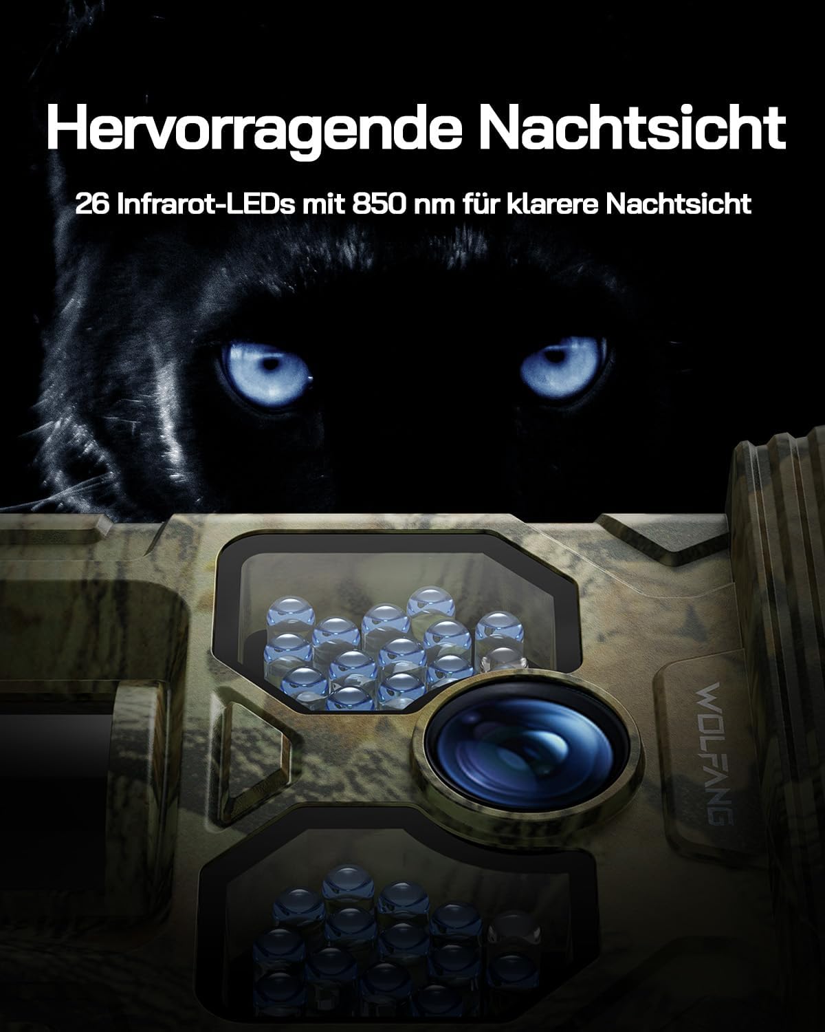 4K Solar Wildkamera WT02 mit Bewegungssensor, Nachtsicht