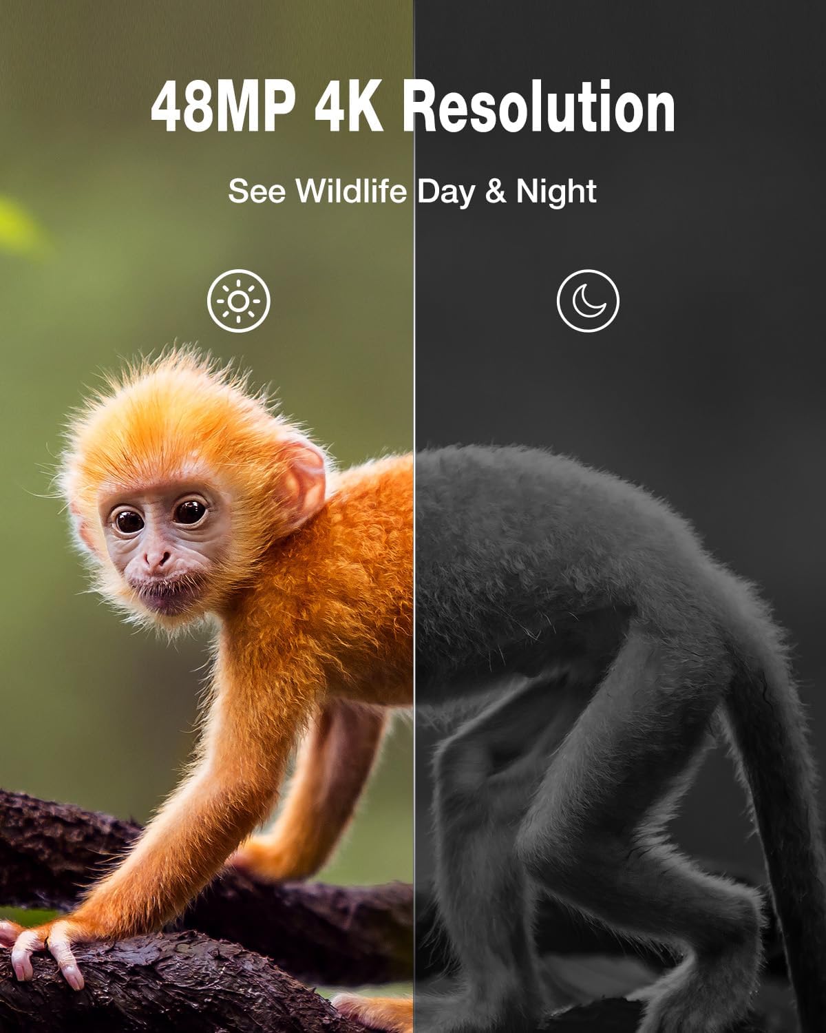 4K Wildkamera WT01