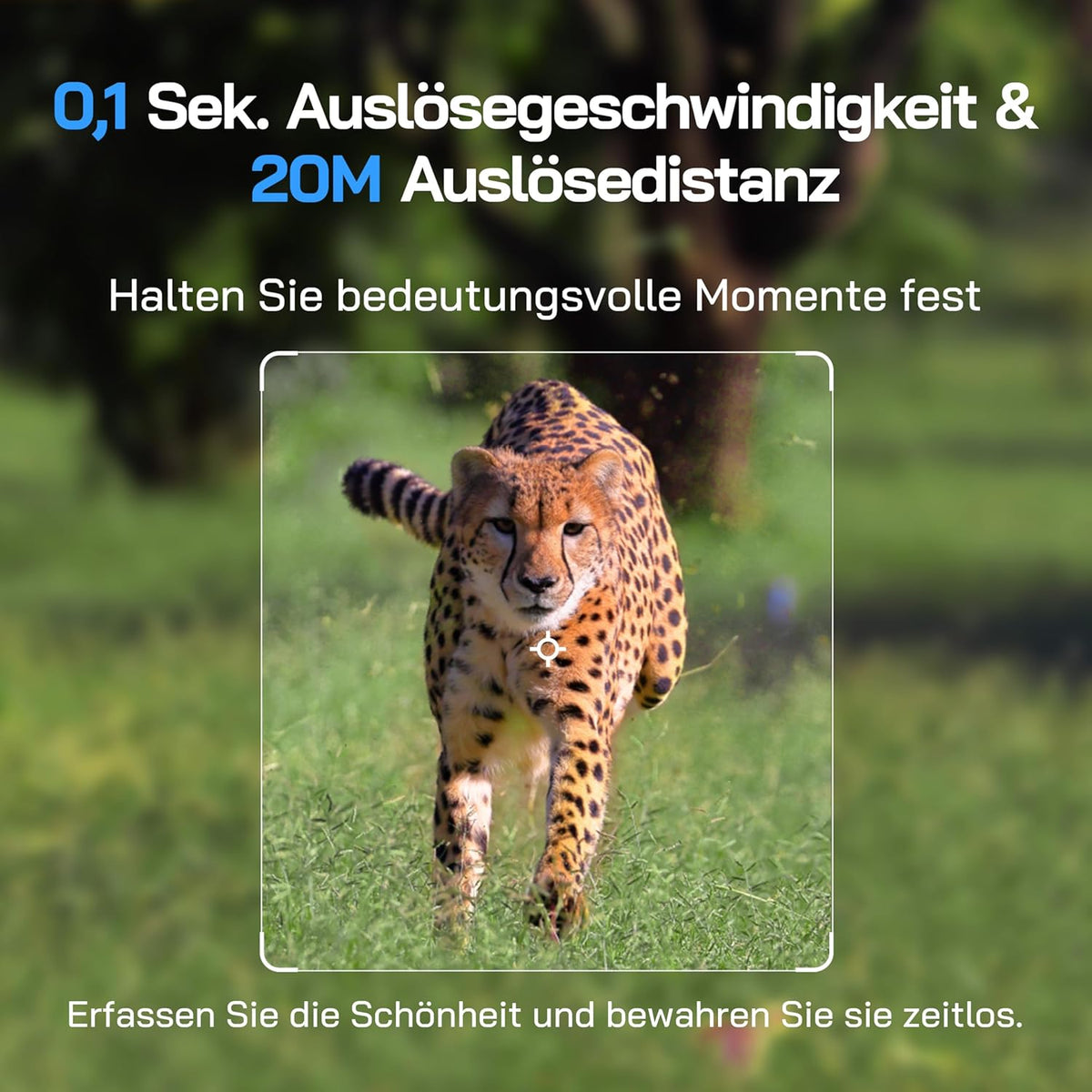 Wildkamera 4K mit Nachtsicht und Bewegungssensor