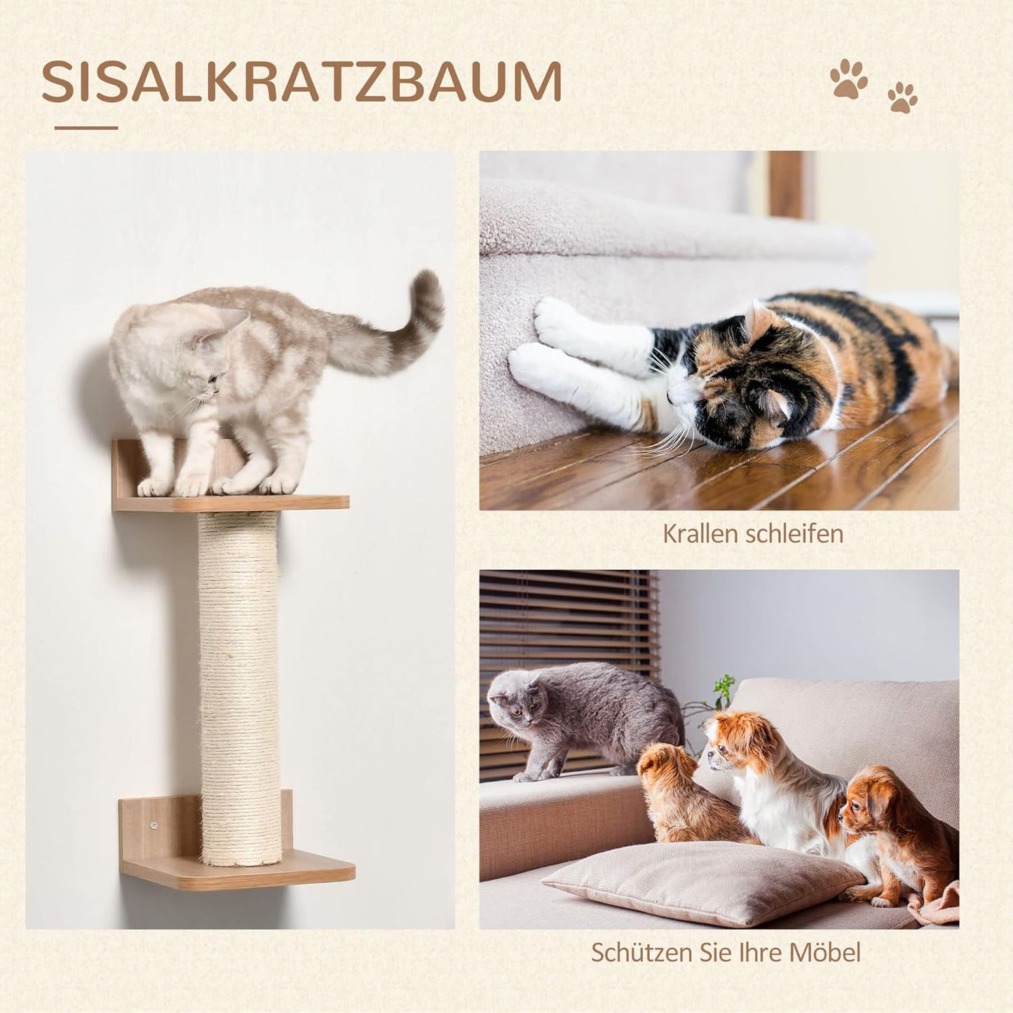 Katzenkletterwand-Set